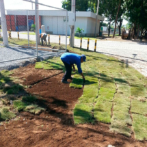 jardineria jardineria
