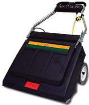 Pacer 30