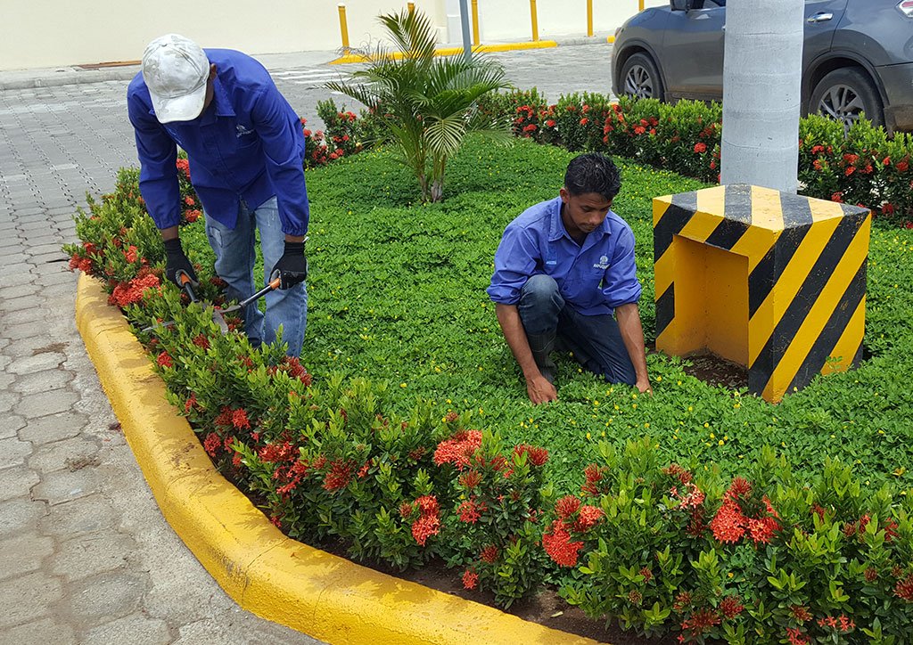 servicios-de-jardineria-nicaragua